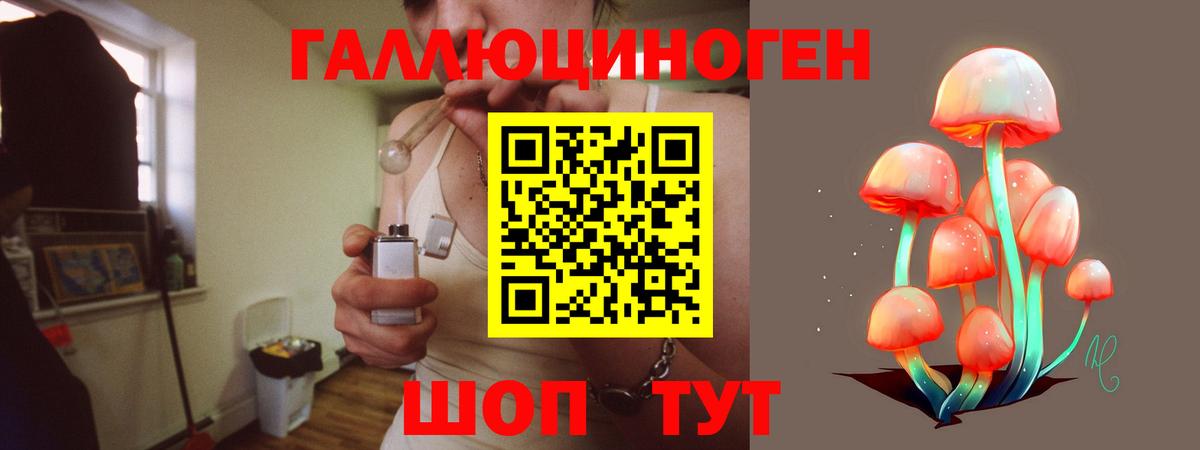 Галлюциногенные грибы прущие грибы  Вход с VPN  Новоалтайск 