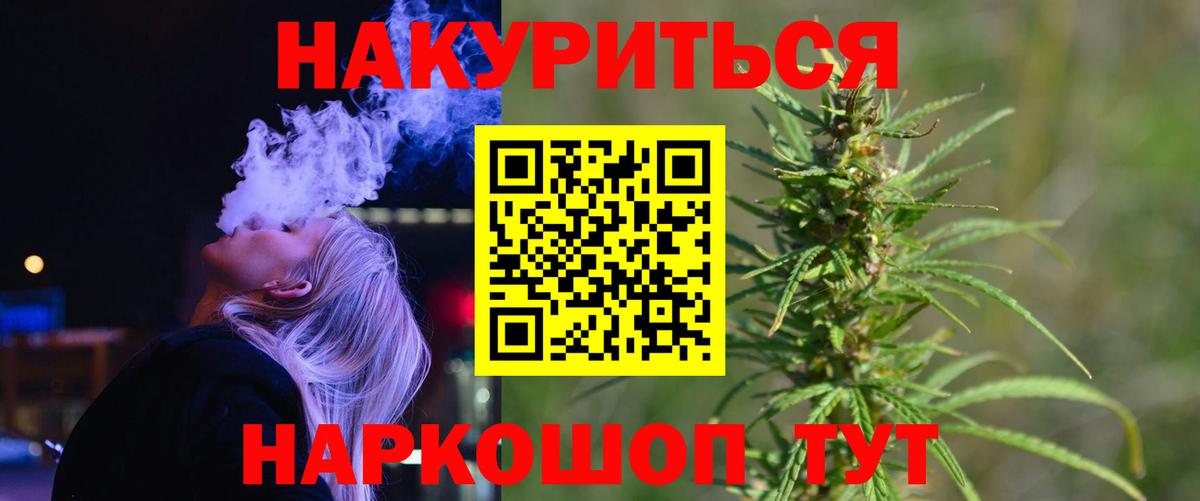 Конопля гибрид Новоалтайск
